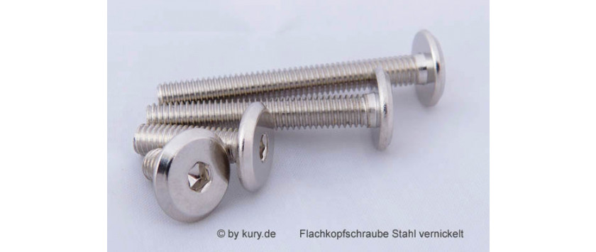Flachkopfschrauben Stahl 4.8 vernickelt