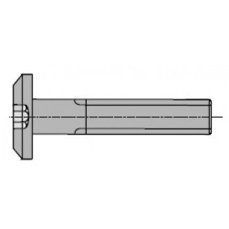 Flachkopfschrauben M 6 x 10 Stahl vernickelt